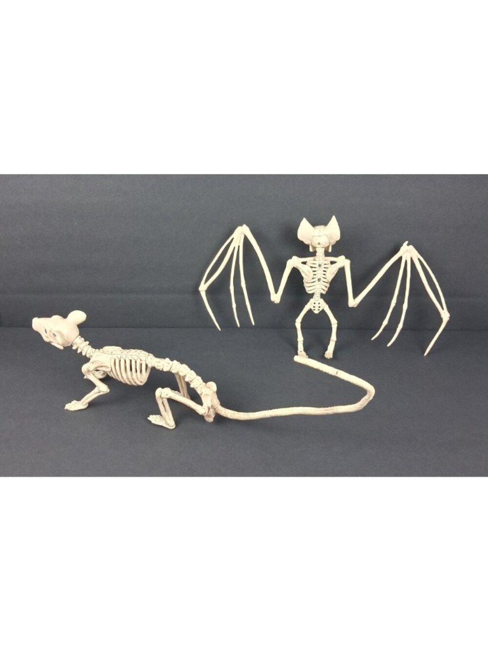 Creepy Skeleton Bat & Rat Figurines Spooky Home Decor - Picture 2 of 10
